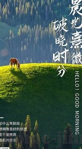 91久久久麻豆-网路世界的多元景象与理性探索——以91为视角的数字背后
