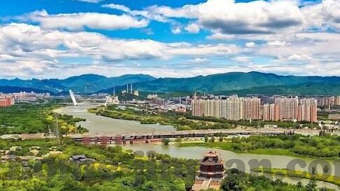 大象传媒视频-大象传媒视频，重塑数字娱乐的视觉盛宴
