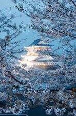 h人妻-探索H人妻，角色、挑战与成长