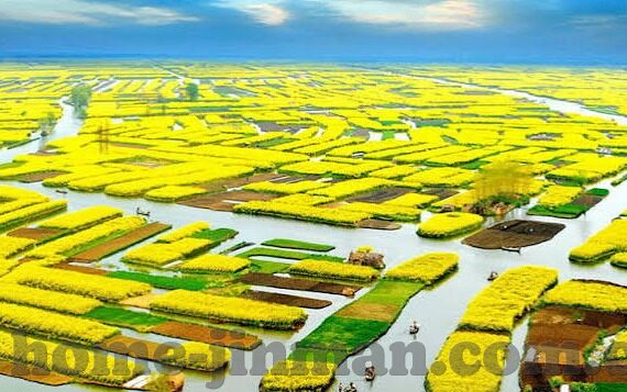 麻豆视频破解版app-网络面对的道德光谱，麻豆视频破解版APP的微妙反思
