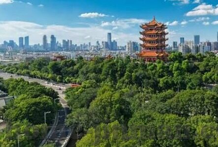 帕帕视频麻豆-帕帕视频与麻豆的幕后，一场虚拟狂欢的舞动
