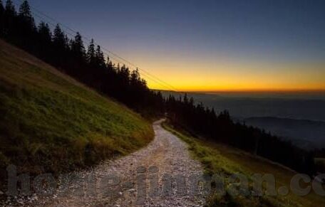 青鸟影院中文字幕-青鸟影院，中文字幕下的文化桥梁