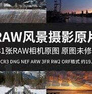 日本一道本一区二区三区-探索日本文化与艺术的多元视角，一道本一区二区三区的独特魅力
