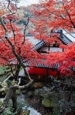 日韩av高请在线视频-日韩AV高清在线视频，文化、技术与社会现象的交织