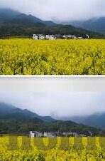 台湾麻豆传媒app破解版下载免费版下载-台湾地区的文化与数字娱乐探索，麻豆传媒APP的传奇故事与误区警示